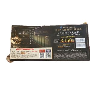 東京豊洲 万葉倶楽部 日帰り入館特別ご優待券 マル得セット入館料