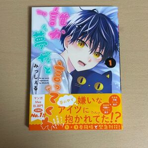 誰か夢だと言ってくれ BL 漫画