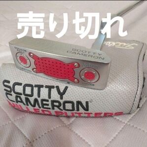 他のサイトで売れちゃいました! 違反報告して小さな承認欲求を満たして下さい。スコッティキャメロン風パター 33インチ