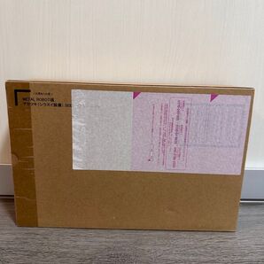 METAL ROBOT魂 アカツキ(シラヌイ装備)SEED FREEDOM Ver.