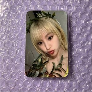 kiss of life ナッティ Born to official特典 トレカ