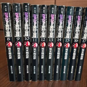 【第3部セット】ジョジョの奇妙な冒険 スターダストクルセイダース 文庫版 8-17巻 まとめ売り