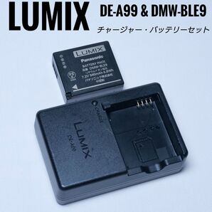 LUMIX 純正充電器 DE-A99 純正バッテリー DMW-BLE9 セット ルミックス Panasonic パナソニック