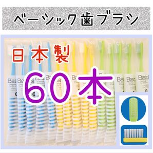 【日本製】CIベーシック歯ブラシ60本