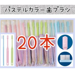 3色歯科医院専用歯ブラシ20本
