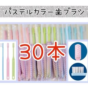 3色歯科医院専用歯ブラシ30本