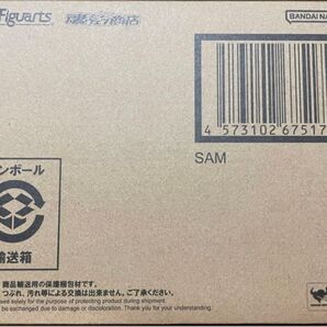S.H.Figuarts サム