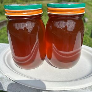 日本ミツバチの生はちみつ 600g2本