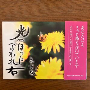 光のほうにまわれ右 泉真理 文芸社 定価900円+税