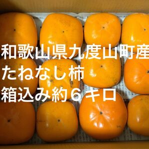 和歌山県九度山町産たねなし柿