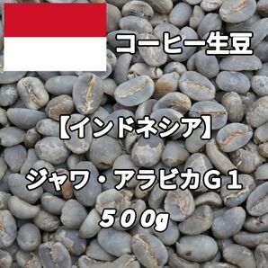 【インドネシア】ジャワ・アラビカG1 コーヒー生豆 500g(コーヒー生豆 自家焙煎 コーヒー豆 コーヒー 珈琲)