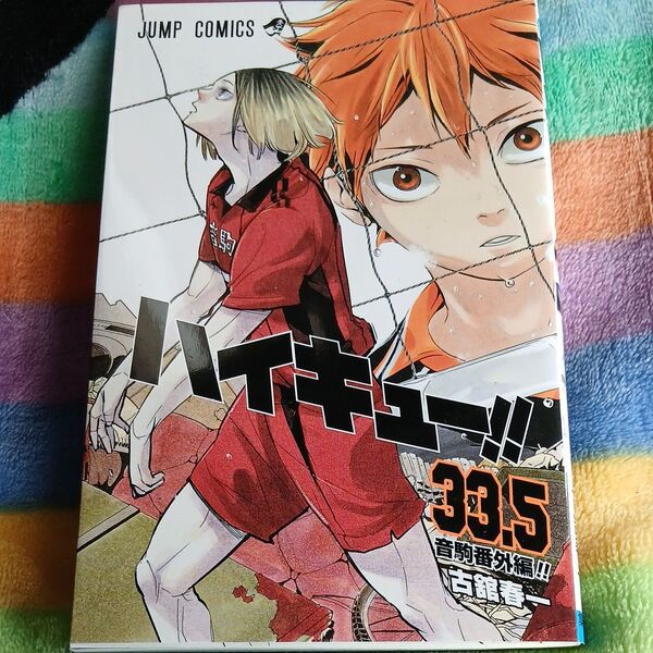 ハイキュー 音駒番外編 33.5巻