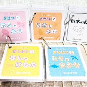 小学校受験 京都幼児教室 カード 5セット 季節 動物 積木