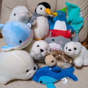 ぬいぐるみ 水族館 ペンギン サメ イルカ カメ エイ アザラシ サンレモン オレンジ AURORA オーロラ CUTE キュート