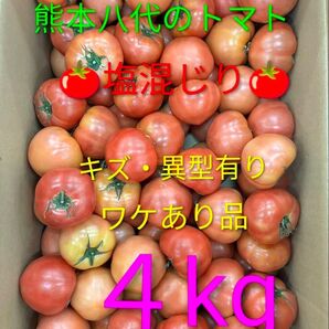 熊本県八代産トマト4キロ