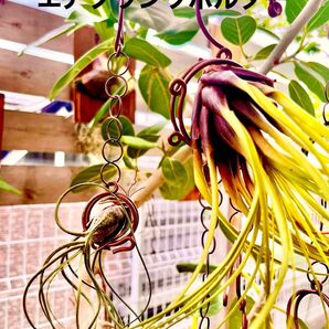 観葉植物 エアプランツ ホルダー インテリア小物 アイアン小物