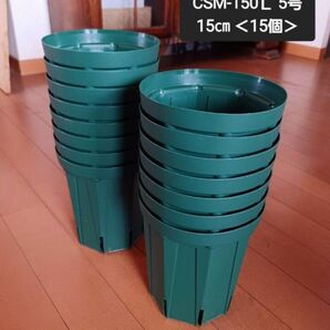 カーメン君紹介○スリット鉢 CSM-150L 5号 15㎝ <15個> 兼弥産業