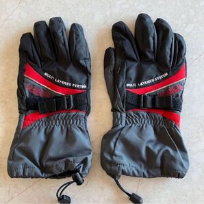 GOLDWIN ゴールドウィン バイク用手袋 グローブ(アウター)スキー スノーボード スキーグローブ アウトドア 防寒