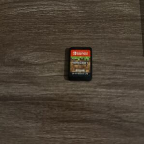 Minecraft Switch ソフトのみ