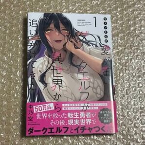 ちょっとだけ愛が重いダークエルフが異世界から追いかけてきた 1巻 初版