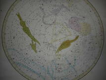 即決　アンティーク、天球図、天文、星座早見盤、星座図絵1833年『バリット星図とテキスト』Star map, Planisphere,Celestial atlas_画像8