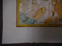 即決アンティーク、天球図、天文、星座早見盤、星座図絵1778年『ボーデの星図2月＝星空ガイド入門』Star map, Planisphere,Celestial atlas_画像4