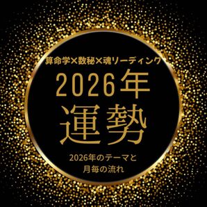 【期間限定価格】算命学×数秘術×現実創造リーディング|あなたの本質・使命・2026年のテーマを鑑定書でお届け