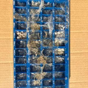 歯科 衛生士 三金 ポリクラウン セット