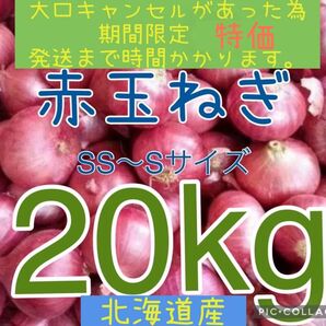 北海道産赤玉ねぎ20kg