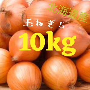北海道産玉ねぎ10kg