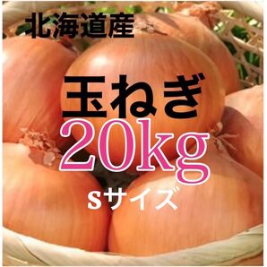 北海道産玉ねぎ20kg