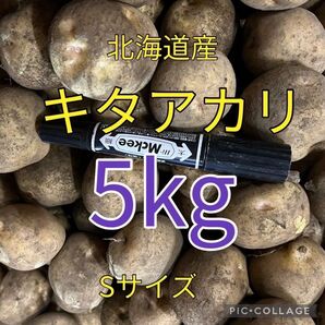 北海道産キタアカリ5kg