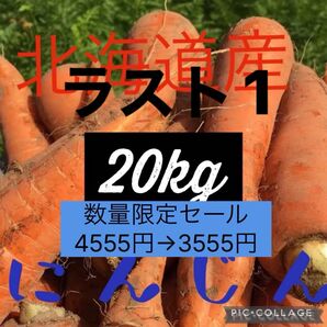 北海道産にんじん20kg