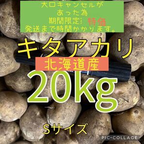 北海道産キタアカリ20kg