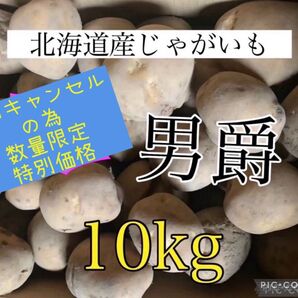 北海道産じゃがいも10kg
