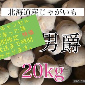 北海道産じゃがいも20kg