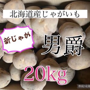 北海道産じゃがいも20kg