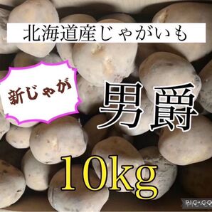 北海道産じゃがいも10kg