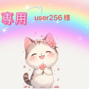 user256様専用ヘアピン