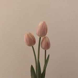 spring.andさま専用