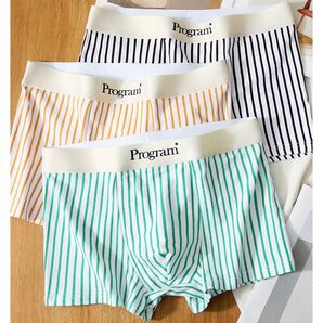 Program ボクサーパンツ 3枚セット ストライプ柄 カラフル メンズ L