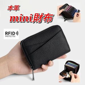 本革 二つ折り 財布 カードケース 黒 スキミング防止 コンパクト 男女 お札が折れないミニ財布 じゃばら