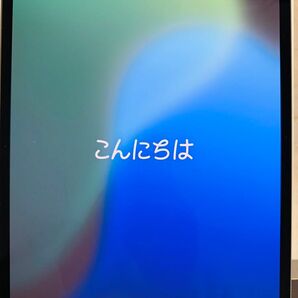 13インチiPadPro (M4)Wi-Fi 256GB Applecare+付