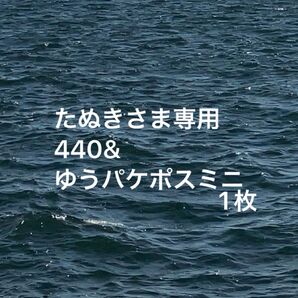 たぬきさま専用