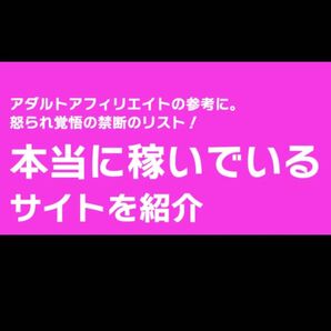 【アタアフィの参考に】本当に稼いているサイト一覧 ワクスト