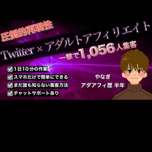 【日給6,129円】たった5日て2,626人のフォロワーを増やした裏技大公開!【アタルトアフィリエイト】 たい