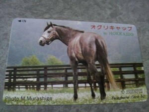 テレカ(テレホンカード)・オグリキャップ（競馬）その１