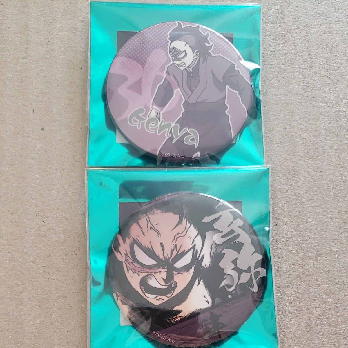 鬼滅の刃 隊士百景 コレクションピンズ 不死川玄弥｜Yahoo!フリマ（旧