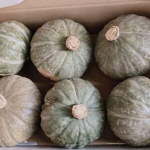 北海道産ミニかぼちゃ