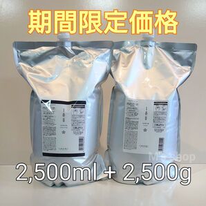 期間限定価格 ルベル イオセラム クレンジング&クリーム 業務用 新品未開封品
